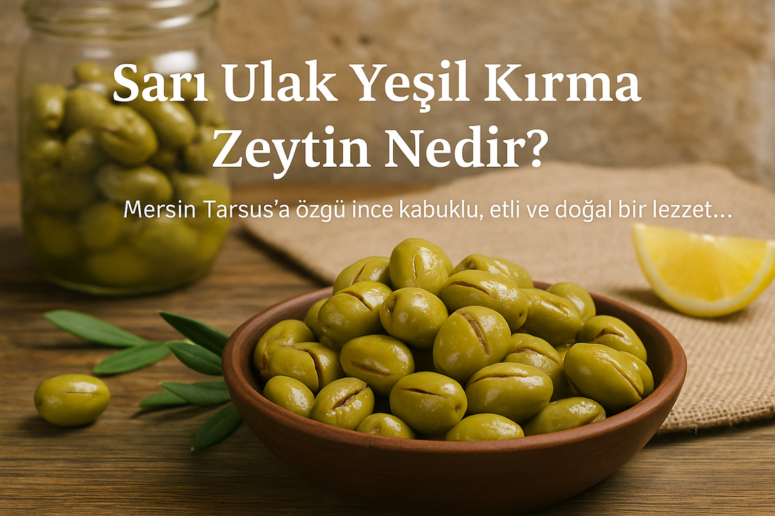 🫒 Sarı Ulak Yeşil Kırma Zeytin Nedir?